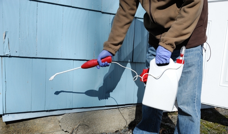 Eco-Friendly Pest Control for McKinney Homes And Businesses