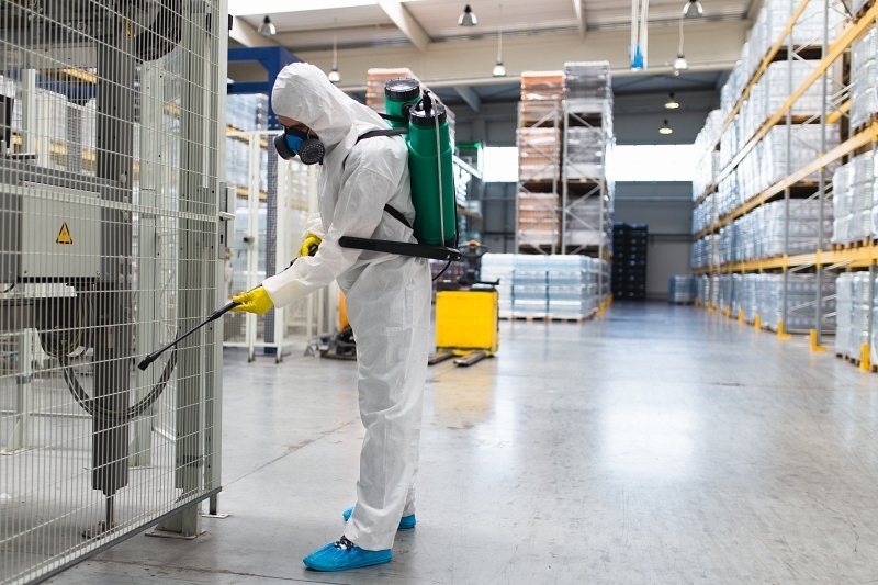 Effective Pest Control Strategy For Property Owners
