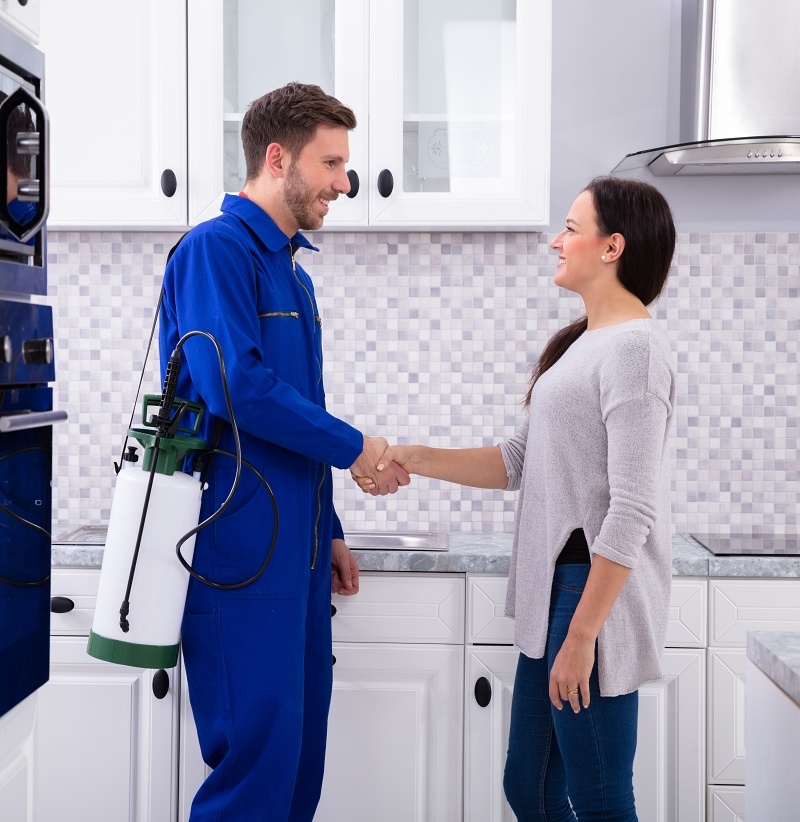 General Pest Control Services in McKinney