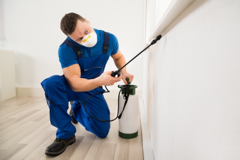 Why General Pest Control is Essential for Every Household